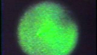 Download Lagu HALLEY'S COMET FLIGHTS MP3