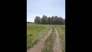 Сибирские просторы