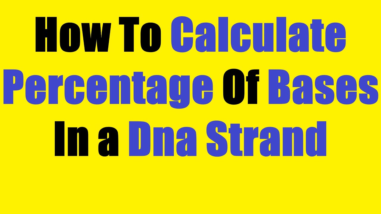 How To Calculate Percentage Of Bases In A DNA Strand YouTube