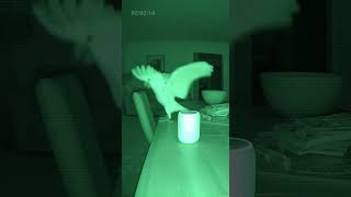 Night Mode Fully Activated