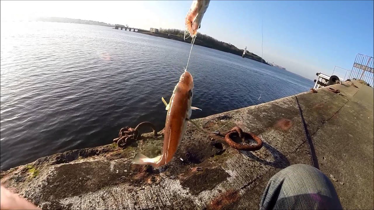 Peche en mer du bord (Morbihan) YouTube