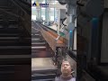 pertikal laser koting#shorts#shortvideo