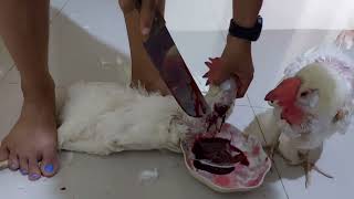 Slaughtering A Chicken Alone Ako Ng Manok -Fb6Pw