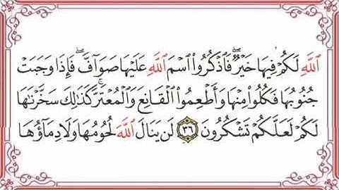 سورة الحج  القارئ الشيخ فارس عباد تلاوة خاشعة مكتوبة جودة عالية جدا  Sheikh Fares Abbad