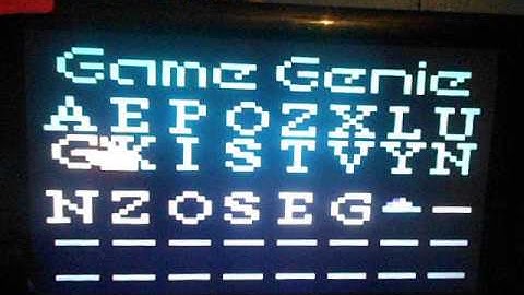 BurgerTime Game Genie Invincible