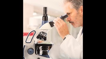 SWIFT SW380T Durchlicht Mikroskop Researcher Trinokular 40X-2500X Mit 5MP Okular Kamera