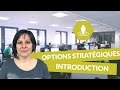 Les options stratgiques  introduction  management  digischool