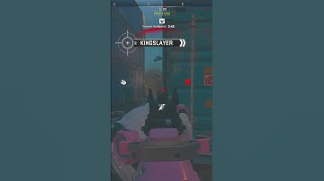 the HONEY BADGER 😵‍ in MW2 is BEAUTIFUL! 😍