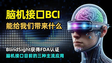 【BCI】脑机接口的能为我们带来什么帮助 | Neuralink的Blindsight获得FDA认证 | 机械手臂 | 电刺激 | 视觉假体 | 光幻视 | 恢复语言能力
