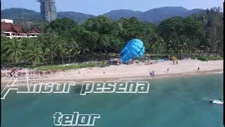 Ancor pesena telor