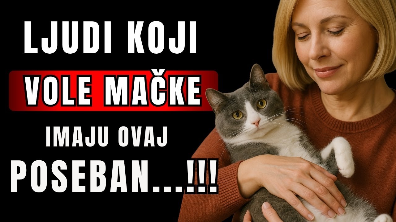 Psihologija ljudi koji VOLE MAČKE