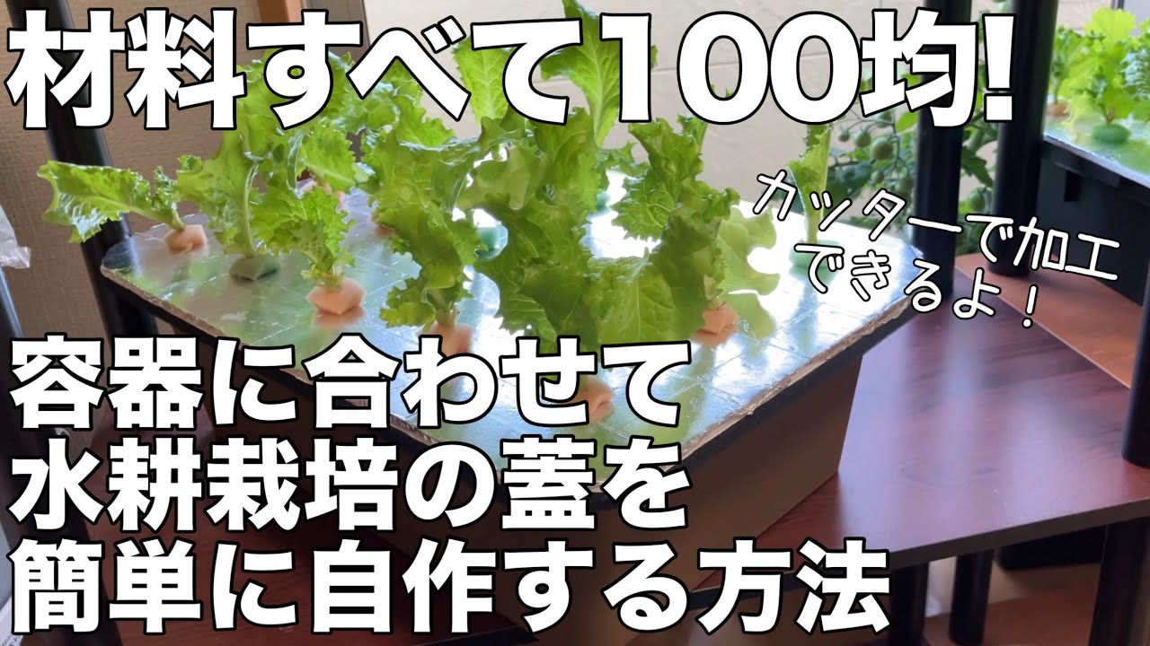 【材料100均】自分の好きな容器に合わせて自由自在⁉︎簡単に蓋を自作する方法！#水耕栽培容器#水耕栽培#家庭菜園#野菜#レタス水耕栽培#リーフレタス#フリルレタス#室内栽培#100均#ダイソー#手作り