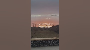 قرآن كريم _تلاوة خاشعة _راحة نفسية #قرآن #اكسبلور #لايك #ترند #تيك_توك #tik_tok #treanding #quran