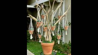 Идеи для сада #9 #дача #сад #дом #клумба #diy #garden