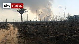 Amazon Wildfires Vast Area Devastated In Northern Brazil Over Manmade Fires