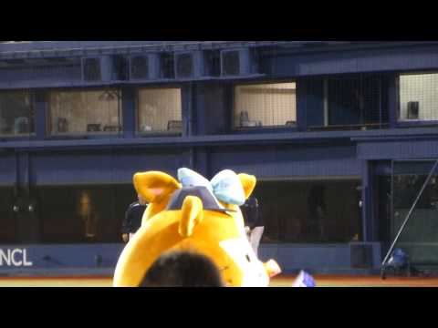 13.10.8 横浜7-5阪神 スターマン