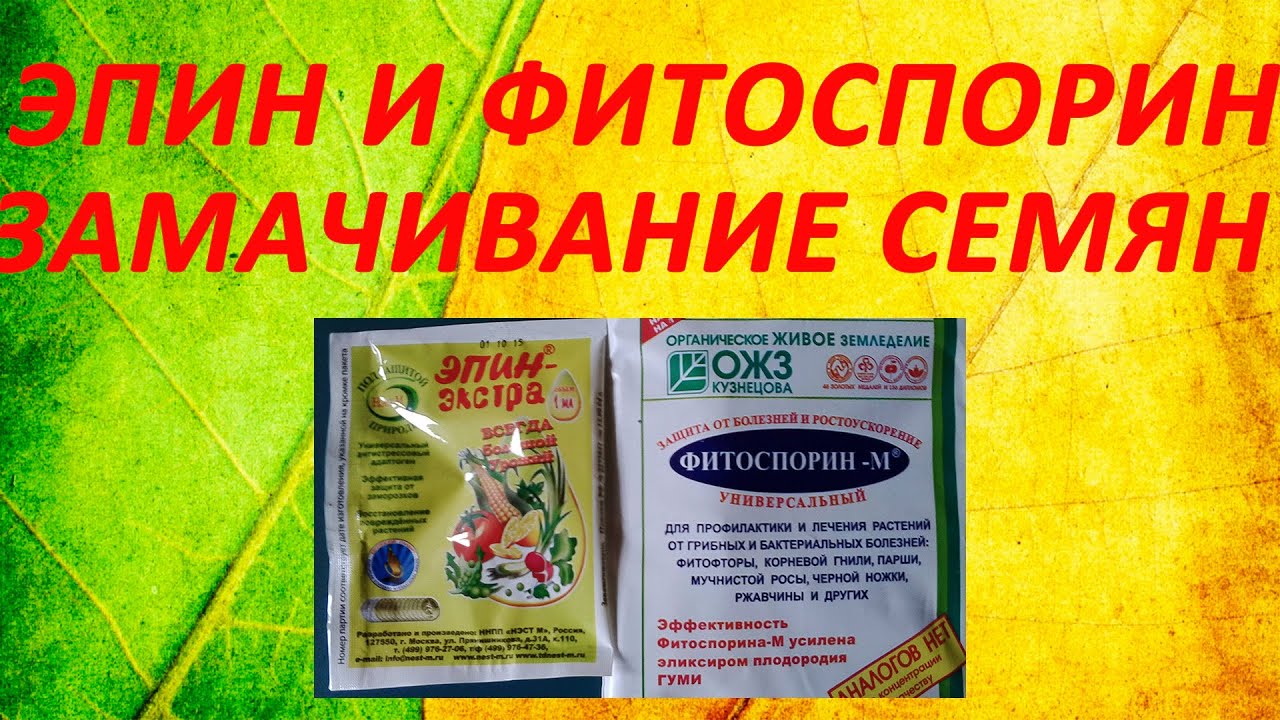 Как замочить семена томатов в эпине. Фитоспорин и Эпин. Фитоспорин для семян томатов. Эпин для семян. Эпин замачивание семян.