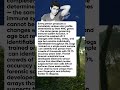 Every Human Has a Unique Smell. Killers Have Been Caught Because of It.