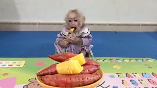 Baby monkey Abi wanted to eat sweet potatoes so he went to the kitchen to search