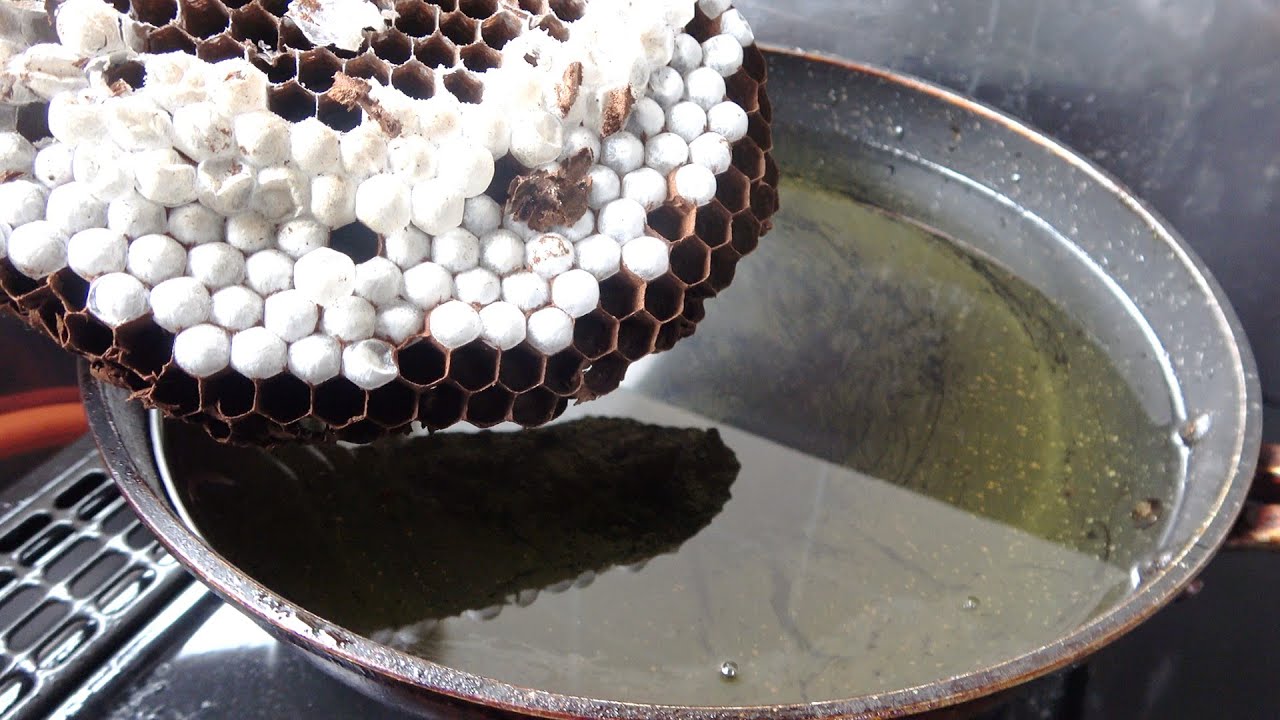 This is what happens when you fry a wasp nest in 1000 degree oil