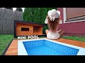 How to Build Your Swimming Pool - Timelapse. Your Dog is Happy