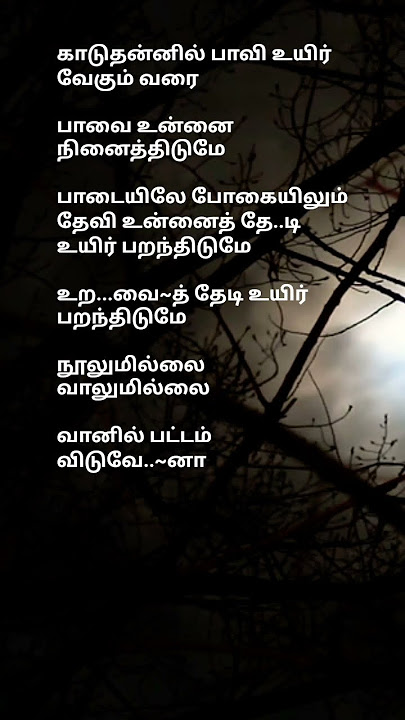 நூலுமில்லை வாலுமில்லை #tmshits #trajendarsongs #tamilsonglyrics