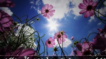 ما تيسر من سورة الكهف للقارئ الشيخ محمد الصديق المنشاوي رحمه الله