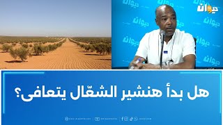 خليفة شوشان هل بدأ هنشير الشعال يتعافى