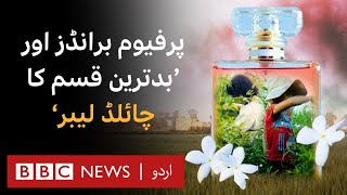 Perfume’s Dark Secret: 'May constitute the worst form of child labour' - BBC URDU