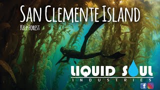 Diving the Kelp Forest  | San Diego | Liquid Soul Industries