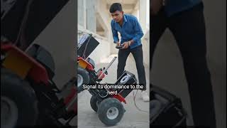 Mini tractor