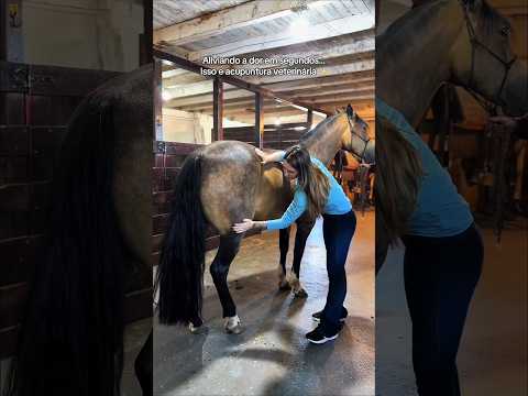Nobody Expected This Horse Treatment 😨