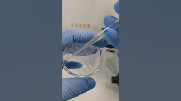 Onion juice vs Parasites under the Microscope