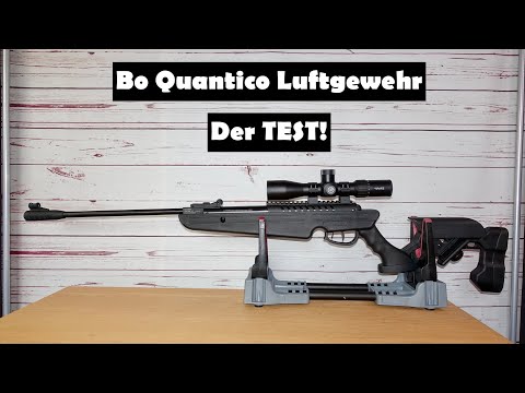 Video: Wurde quantico abgesagt?