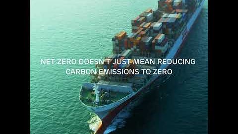What does ‘net zero’ actually mean?