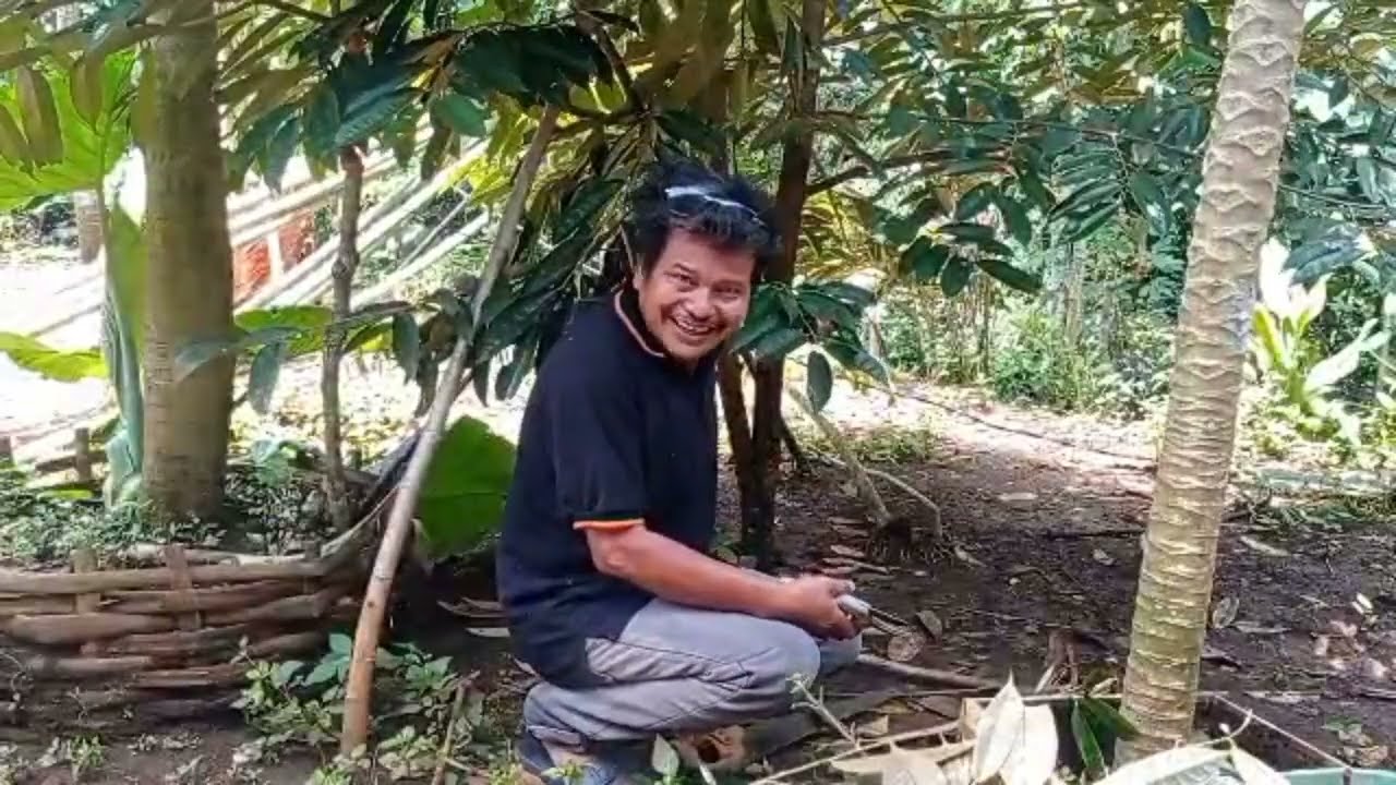 BUAT YG MENANAM BIBIT KECIL PRATIKAN YA