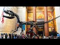 New york city walking tour american museum of natural history 2021