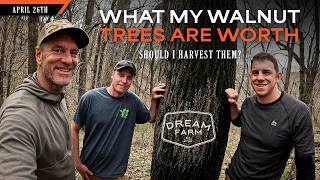 What my Walnut Trees are Worth - Should I Harvest Them? | Dream Farm w/ Bill Winke