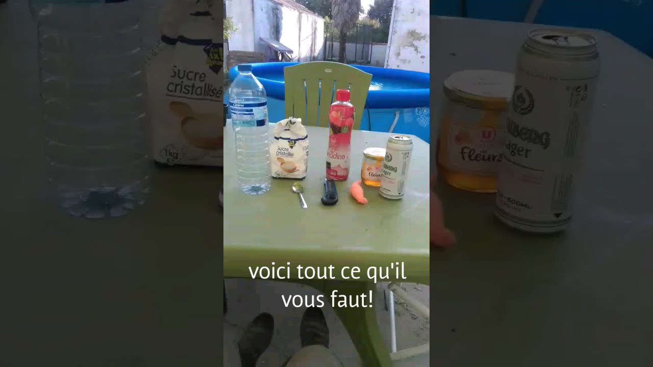 Construire un piège à mouches, taons etc!