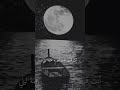 انت قمري الذي انير به عتمة ليلي