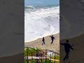 Silver Wings at The Beach NorCal Santa Cruz CA #socal #silverwings #beach