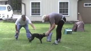 ARF Training Halo Goes To Harvard