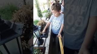 Aras Ile Su Içinde Yüzen Bitkiyi Kurtarıyoruz Cafe Lounge Marina