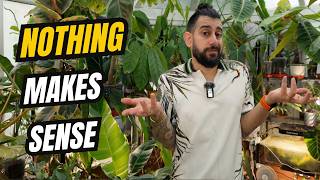 You Checked EVERYTHING… So Why Is Your Houseplant Still Dying? 😩🌿