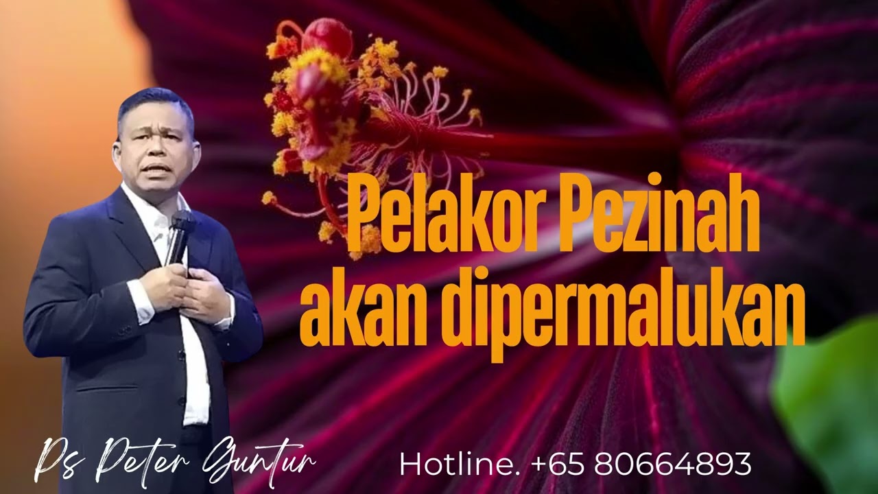 PELAKOR PENZINAH AKAN DIPERMALUKAN DAN TERIMA HUKUMAN  -    PETER GUNTUR