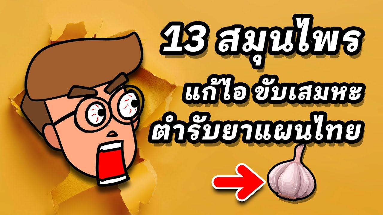 13 สมุนไพรแก้ไอ สมุนไพรขับเสมหะ (ตำรับยาแผนไทย) - Youtube