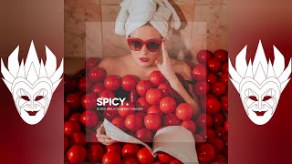 Boris Brejcha Feat. Ginger - Spicy (Original Mix)