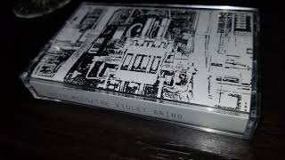 Facialmess - The Violent Grind Split