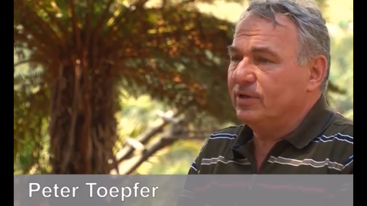 Testimony of Peter Toepfer - German and Hungarian