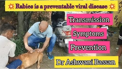 Rabies in dog | Zoonotic disease | Rabies in human |  Mongoose bite in dog | Antirabies vaccination
